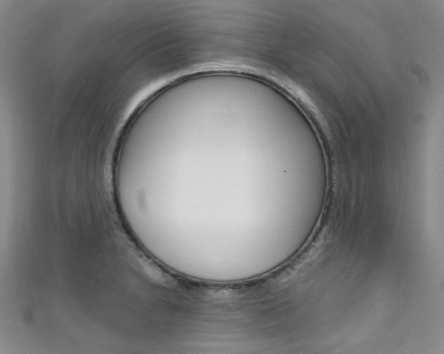 X0000111421230200907131013