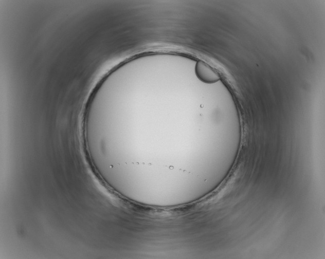 X0000111421231200907131013
