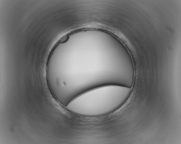 X0000111421232200907131013