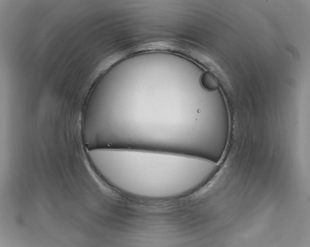 X0000111421233200907131013