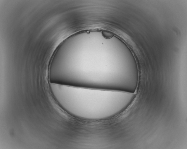 X0000111421234200907131013