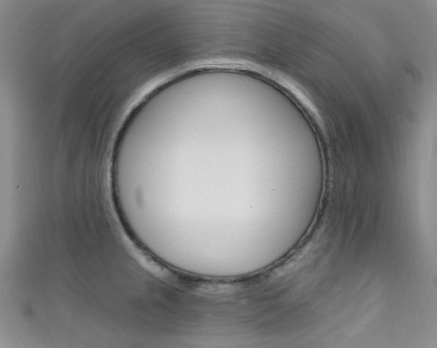 X0000111421237200907131013
