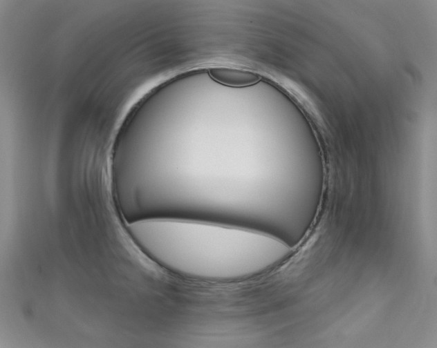 X0000111421238200907131013