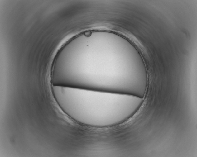 X0000111421240200907131013
