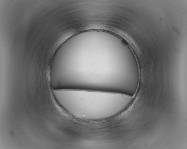 X0000111421241200907131013