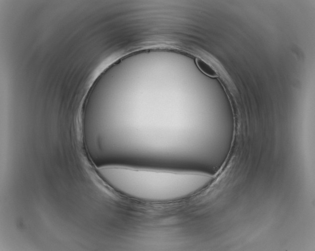 X0000111421242200907131013