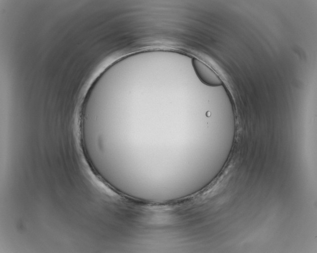 X0000111421243200907131013