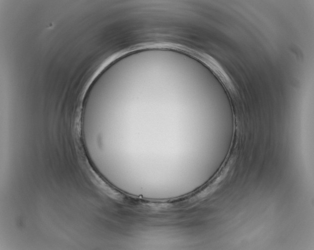 X0000111421244200907131013