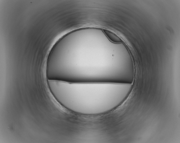 X0000111421246200907131013