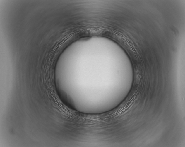X0000111421249200907131013