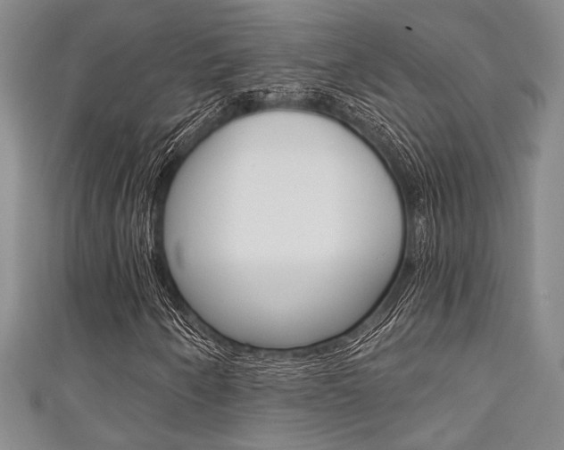X0000111421250200907131012