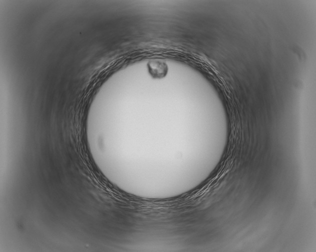 X0000111421253200907131012