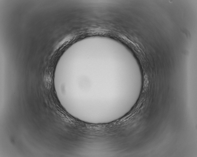 X0000111421254200907131012