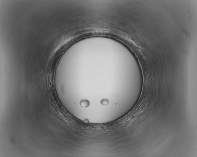 X0000111421255200907131012