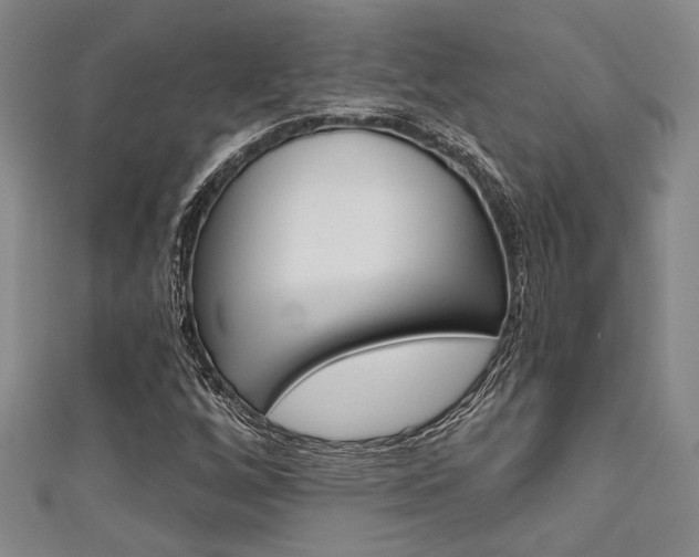 X0000111421256200907131012