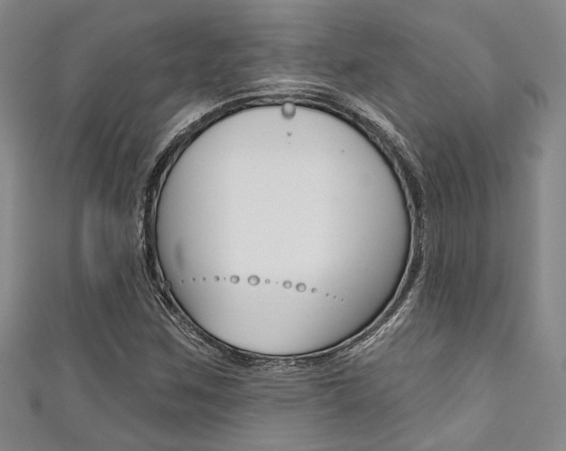 X0000111421259200907131012