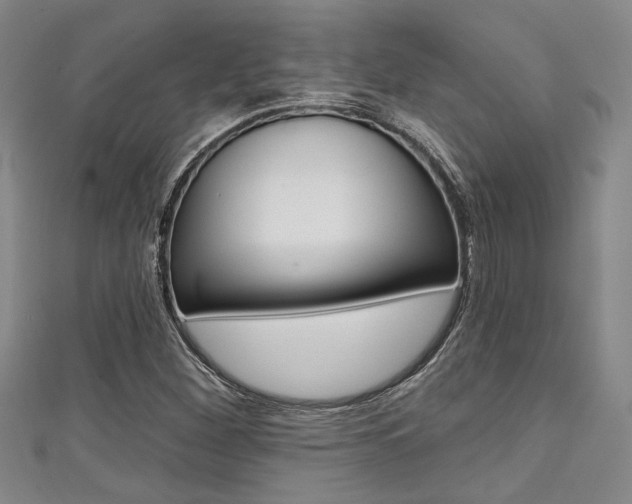 X0000111421260200907131012