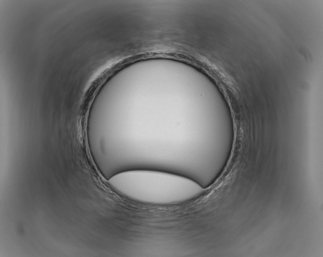 X0000111421262200907131012