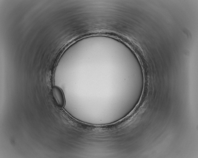 X0000111421265200907131012