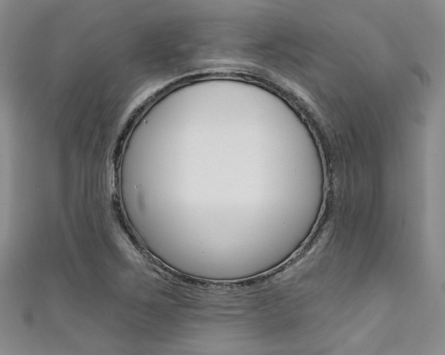 X0000111421267200907131012