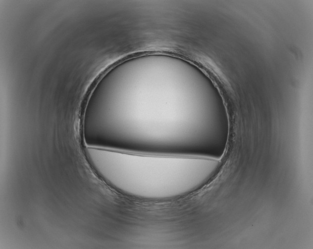 X0000111421268200907131012
