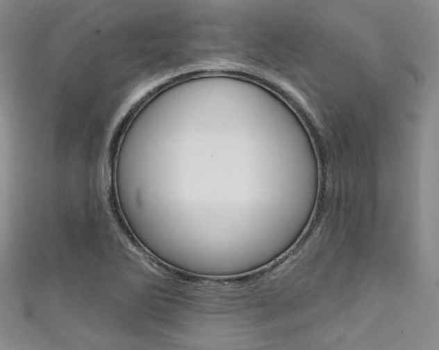 X0000111421270200907131012