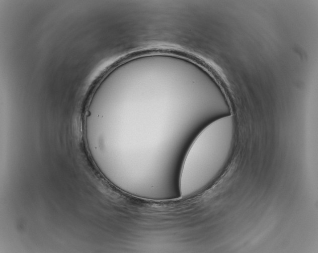 X0000111421271200907131012