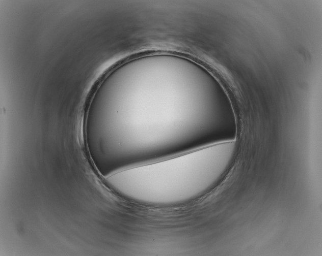 X0000111421272200907131012