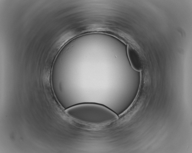 X0000111421273200907131012
