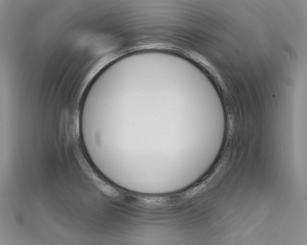 X0000111421274200907131012