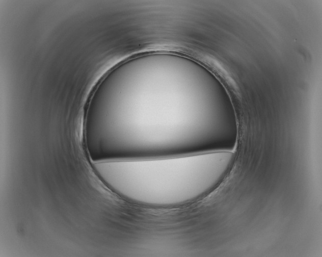 X0000111421276200907131012