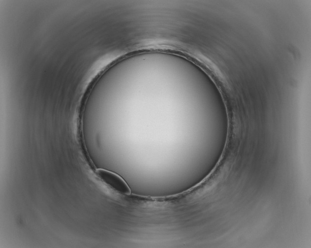 X0000111421277200907131012