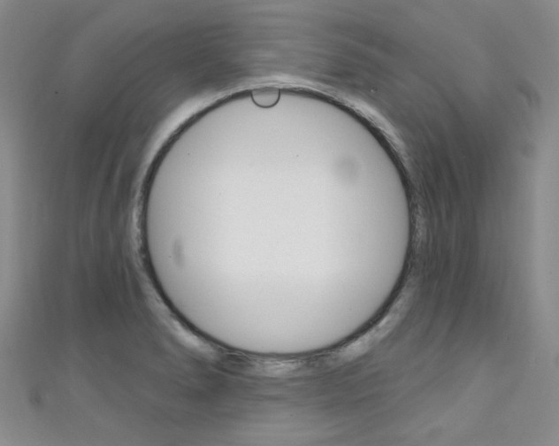 X0000111421278200907131012