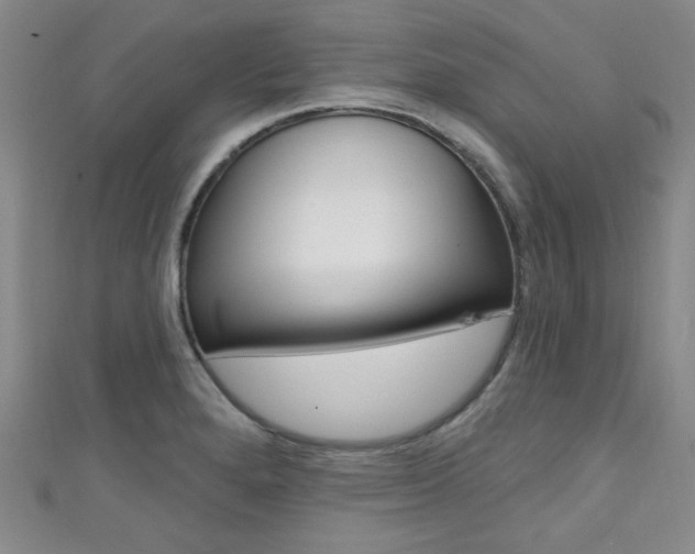 X0000111421280200907131012
