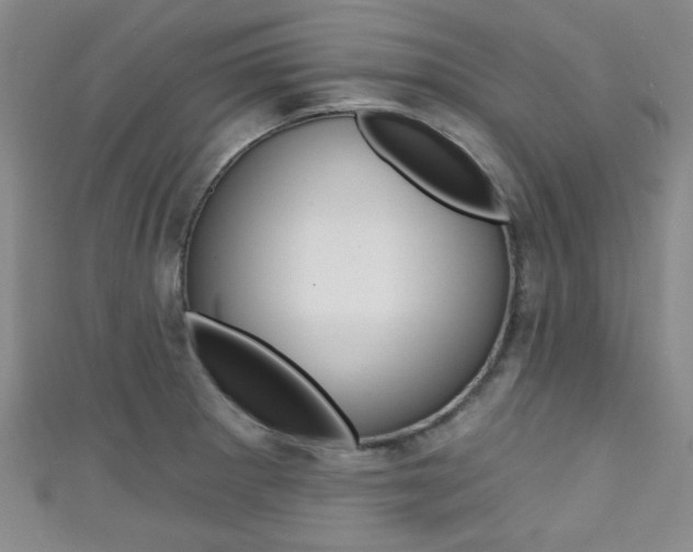X0000111421281200907131012