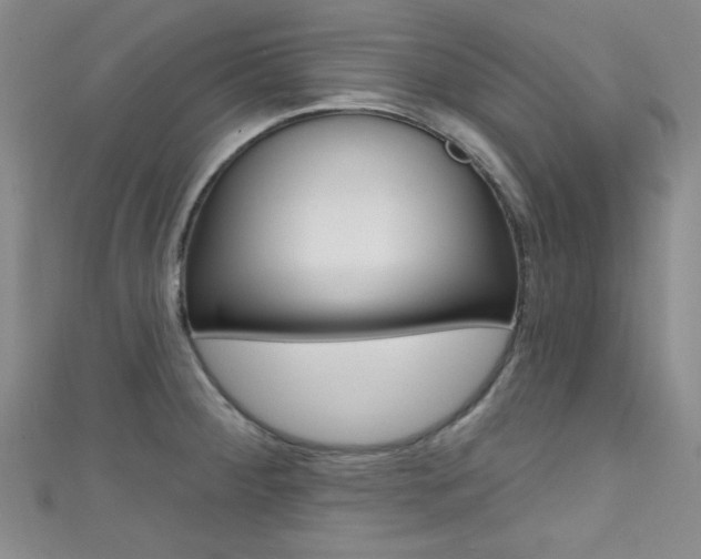 X0000111421284200907131012
