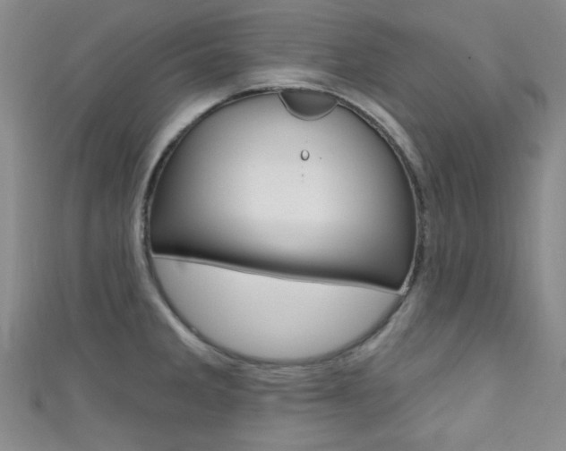 X0000111421285200907131012