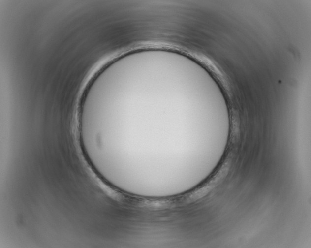 X0000111421286200907131012