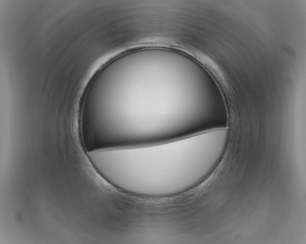 X0000111421288200907131012
