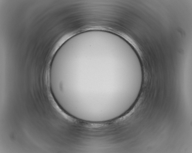 X0000111421290200907131012