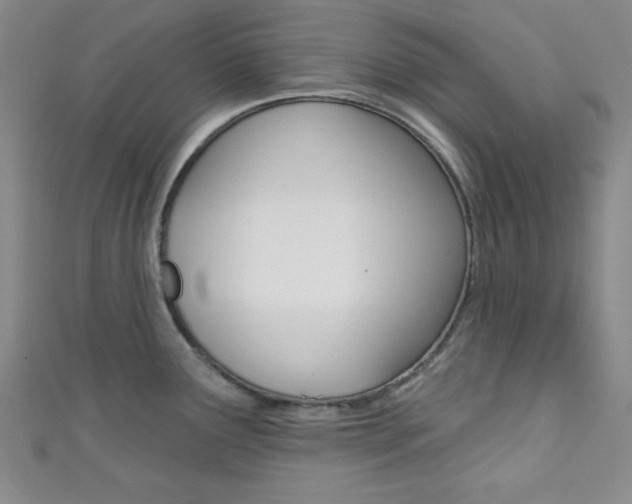 X0000111421291200907131012