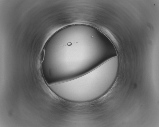 X0000111421292200907131012