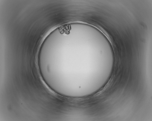 X0000111421293200907131012