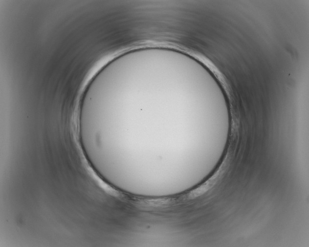 X0000111421294200907131012