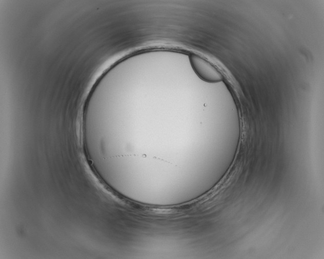 X0000111421295200907131012