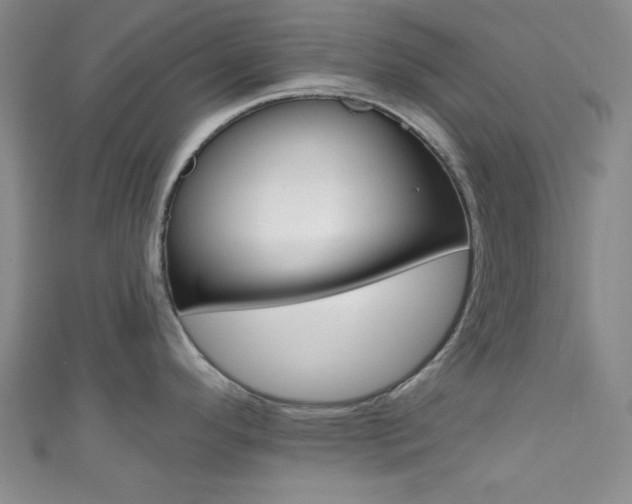 X0000111421296200907131012