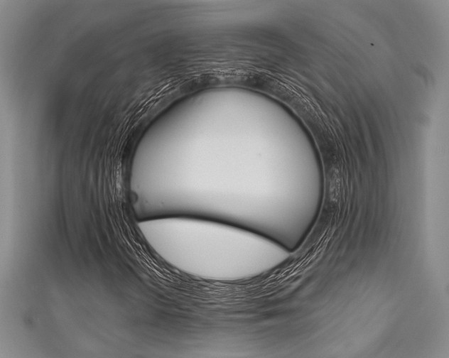 X0000111421298200907131011