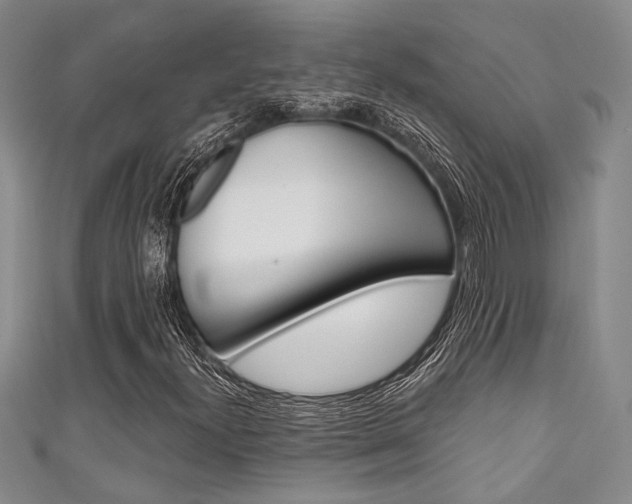 X0000111421300200907131011