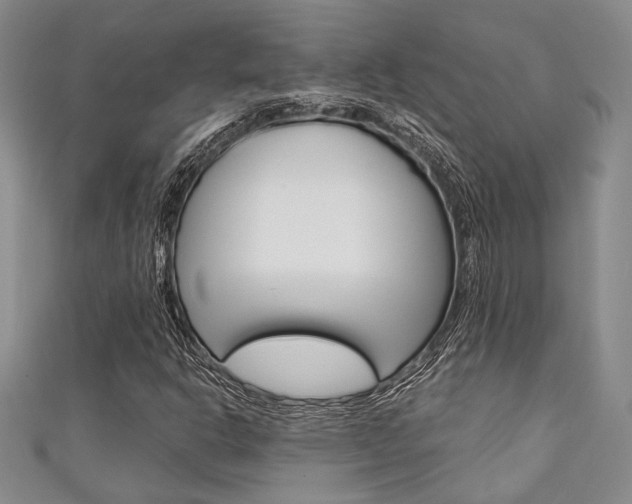 X0000111421302200907131011