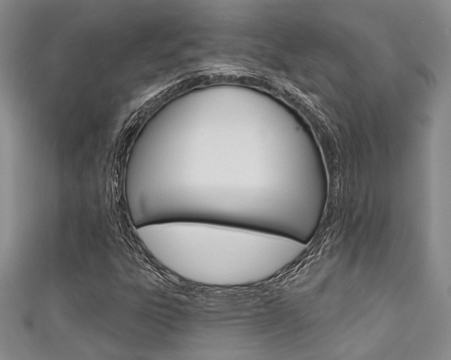 X0000111421303200907131011
